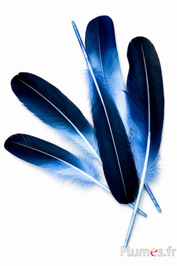 Zwaan zijde - 25-30 cm - blauw hemel-donkerblauw